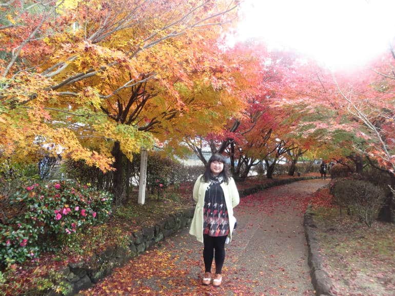 japan-bus-tour