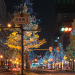 Winter Festival of the Lights in Osaka