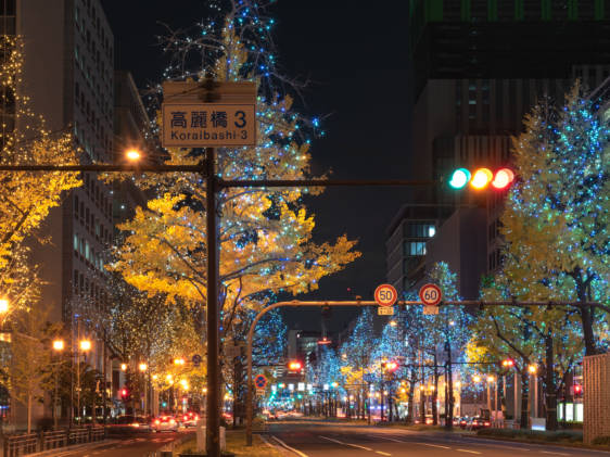 Winter Festival of the Lights in Osaka