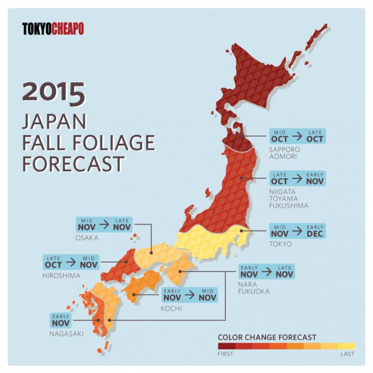 Japan autumn leaves