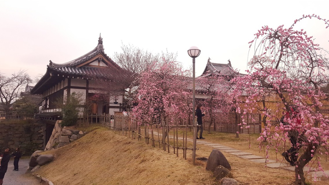 koriyama castle nara