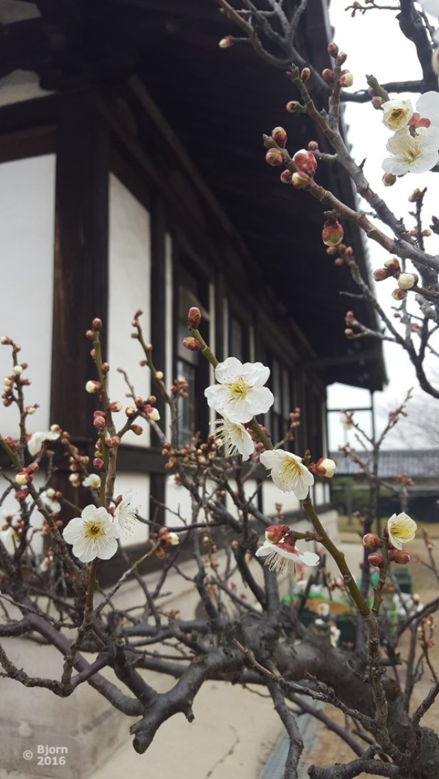 koriyama castle nara
