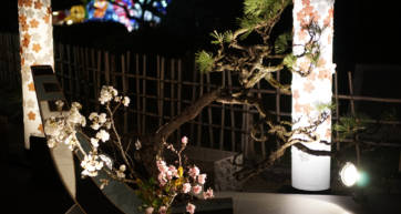 Higashiyama Hanatouro Ikebana