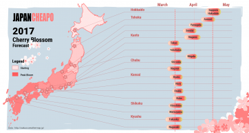 sakura cherry blossom forecast map 2017
