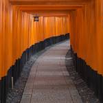 Torii gates at Fushimi Inari Taisha - japan walkable cities