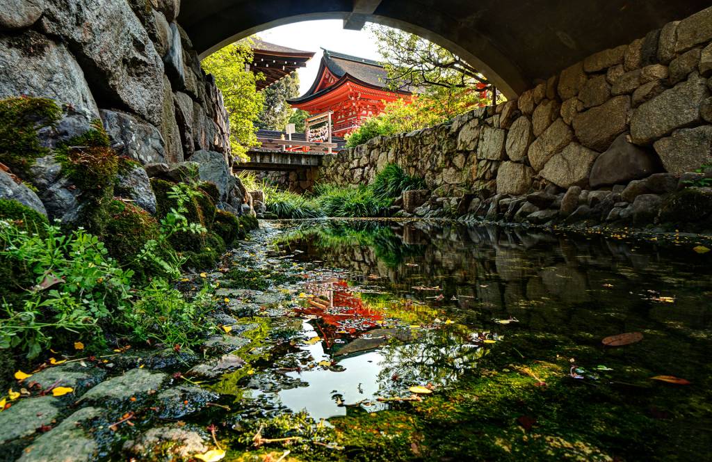 shimogamo