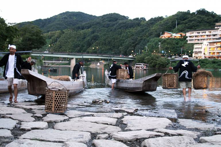 Cormorants Iwakuni