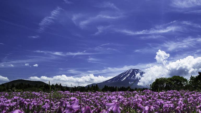 Yamanashi Fuji