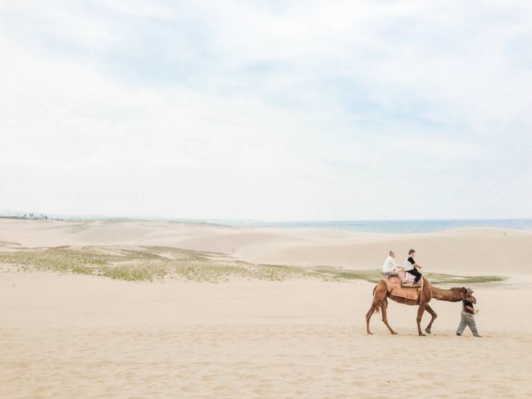 The sand dunes (and camels!) of Tottori are not a typical sight in Japan.