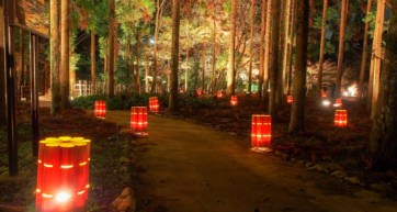 Kyoto illuminations hanatouro arashiyama
