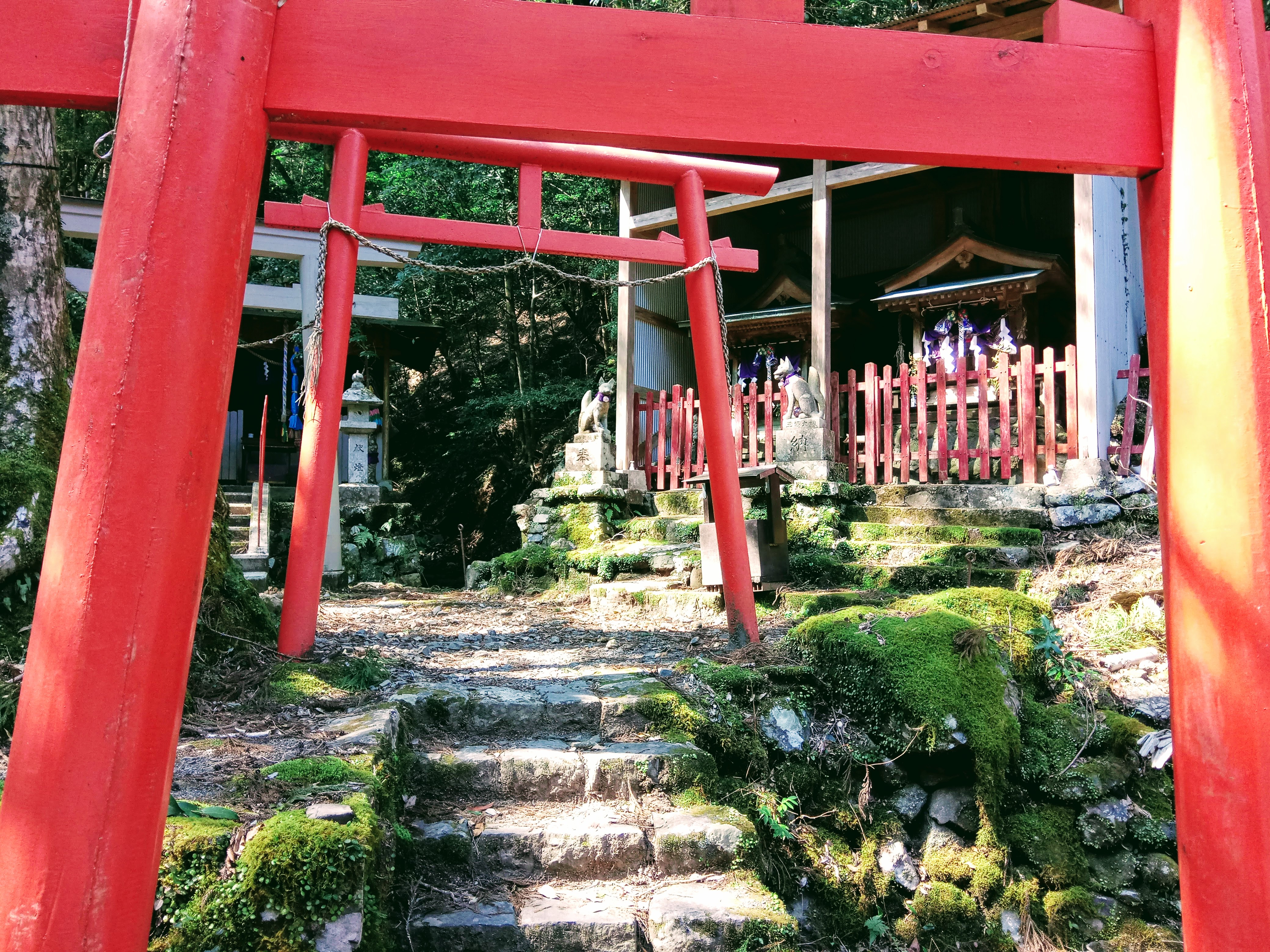 red torii gates in Kumano Kodo