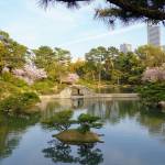 Hiroshima Shukkeien Gardens
