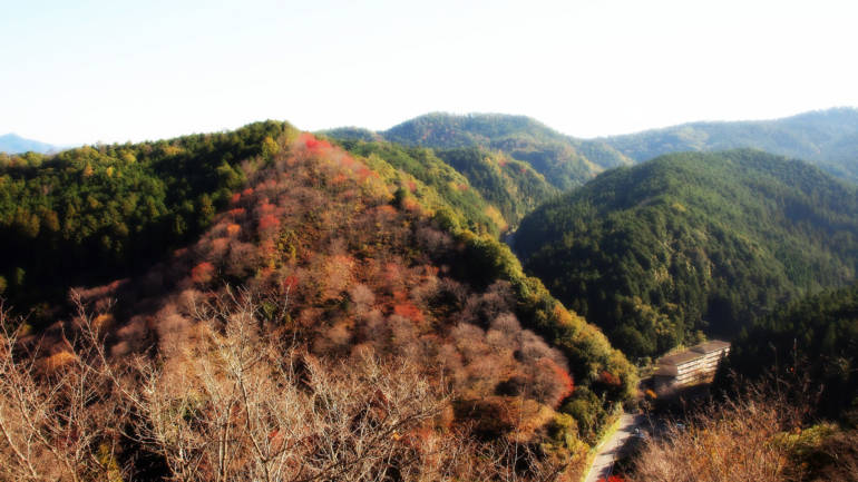 Yoshino Autumn