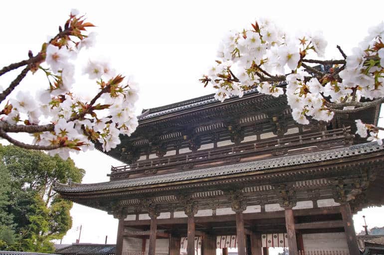 Ninna-ji Temple Kyoto