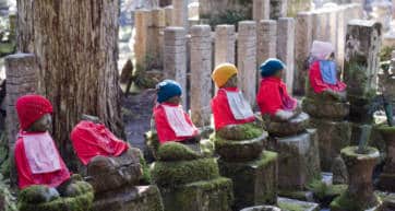 mount koya