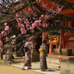 Kitano Plum Blossom Baikasai Festival