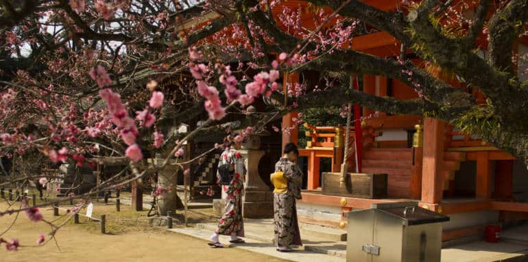 Kitano Plum Blossom Baikasai Festival