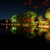 Daikaku-ji, Osawa-no-ike (Pond) -1 (November 2013)