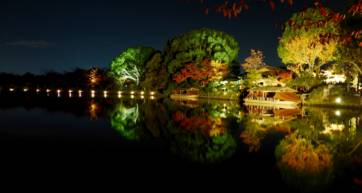 Daikaku-ji, Osawa-no-ike (Pond) -1 (November 2013)