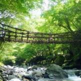 Iya Valley Vine Bridge