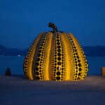 Naoshima Pumpkin