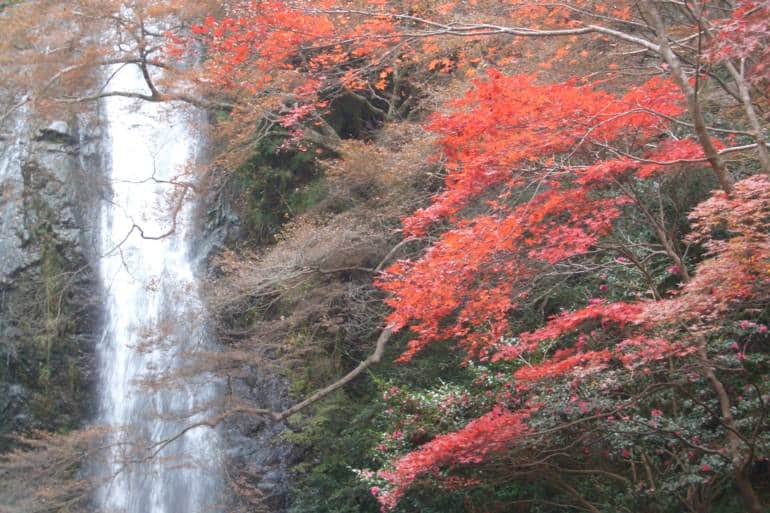 minoh falls