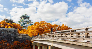 osaka castle autumn leaves