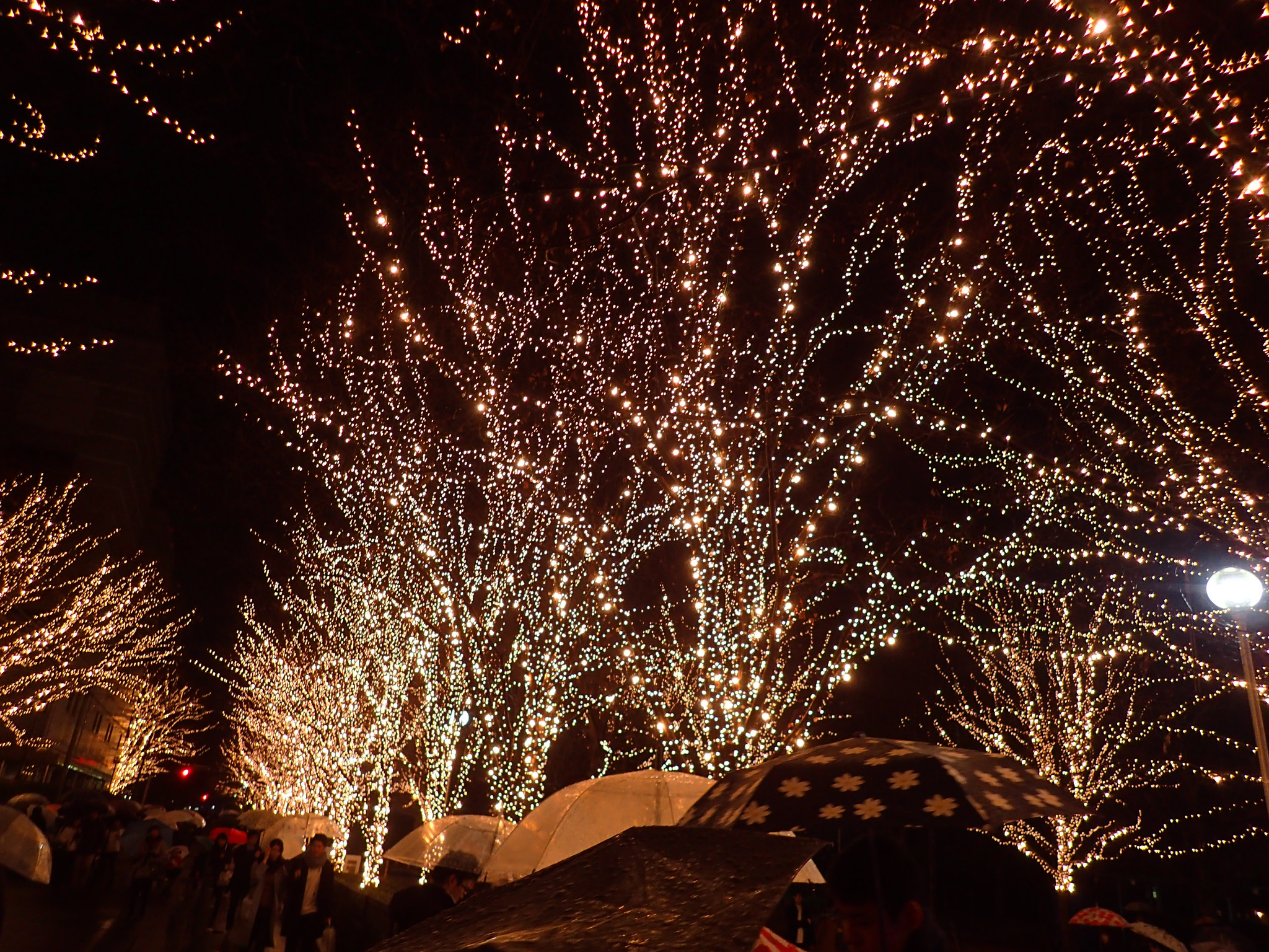 ROHM Illumination