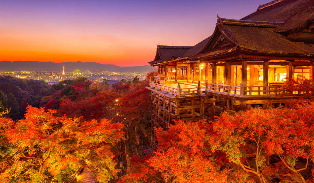 Fall Foliage 2024 Kyoto Japan - Myrah Tiphany