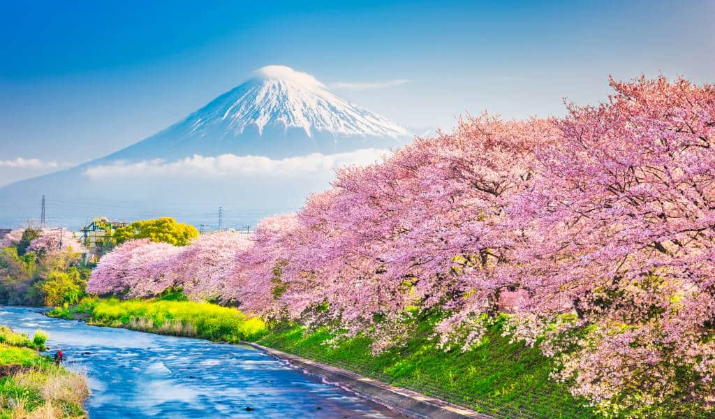 Shizuoka Guide Japan Cheapo