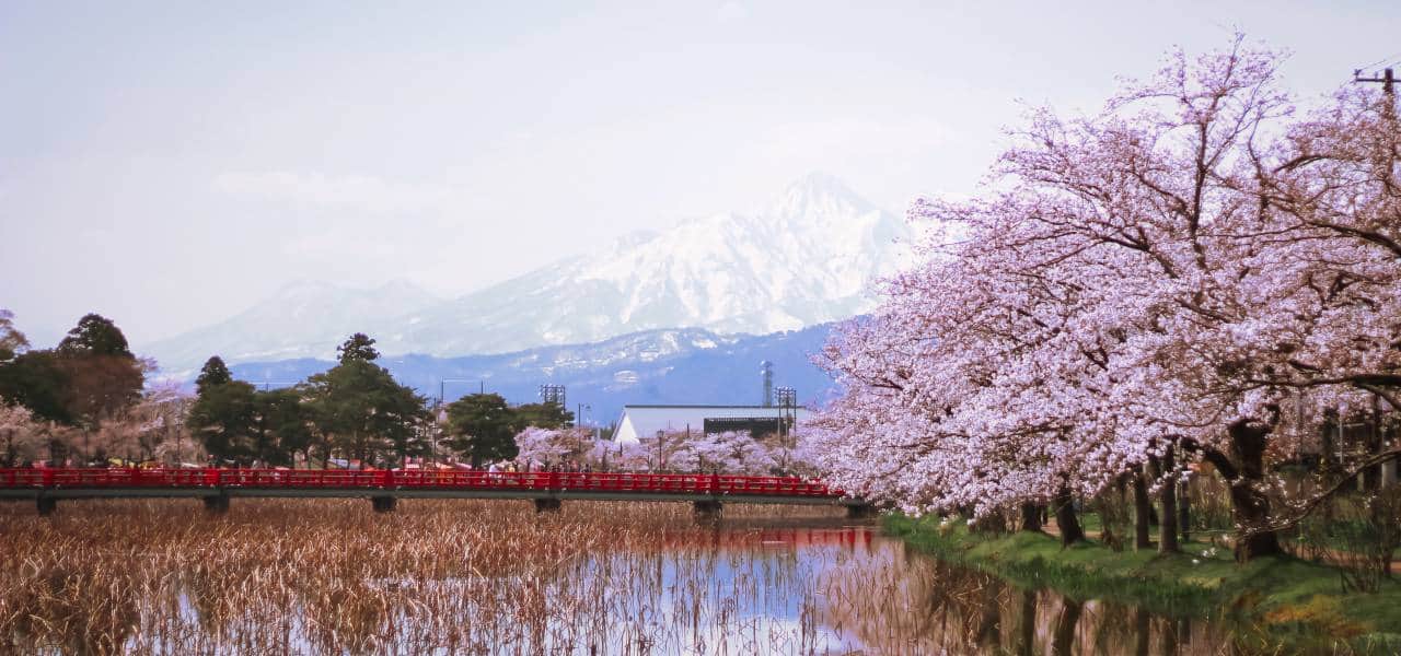 Sushi Yoshi in Myoko: A Family Restaurant in the Snow
