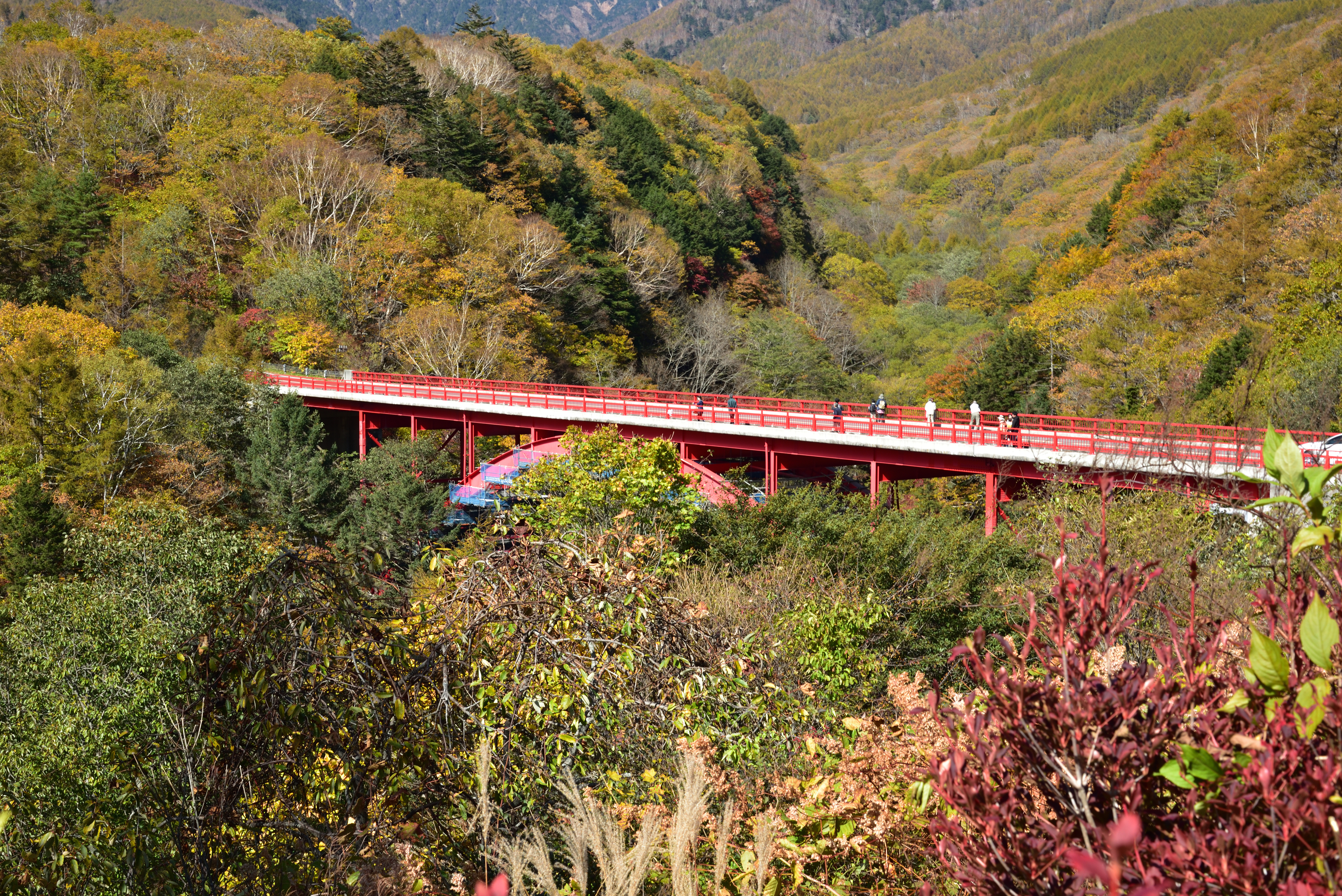 view of the red higashizawa bridge in autumn