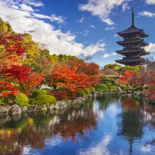 Kyoto Autumn Leaves: Top Viewing Spots & Day Trip Ideas | Japan Cheapo