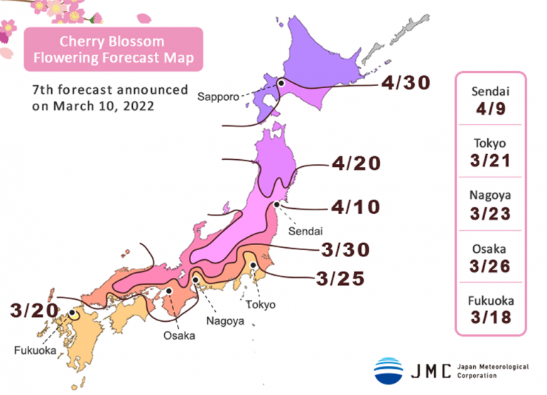 Japan cherry blossom forecast March 2022