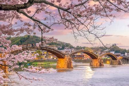 11 Best Places to See Cherry Blossoms in Japan | Japan Cheapo