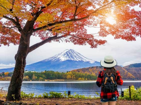 When is the Best Time to Visit Japan?