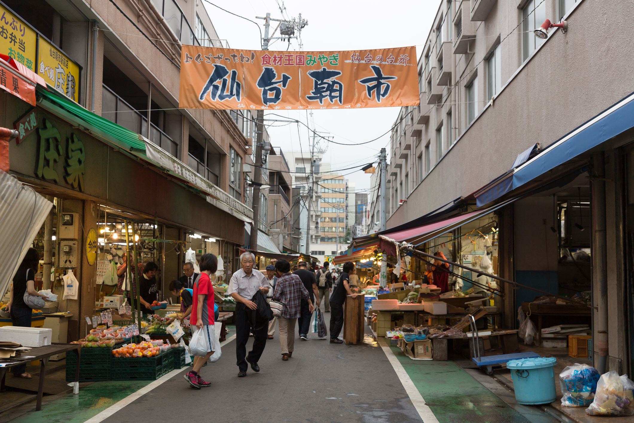 Sendai Area Guide: Highlights and How to Get There