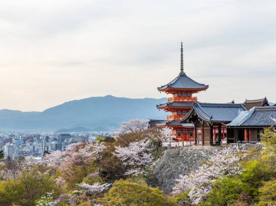 Kiyomizu dera temple in spring
