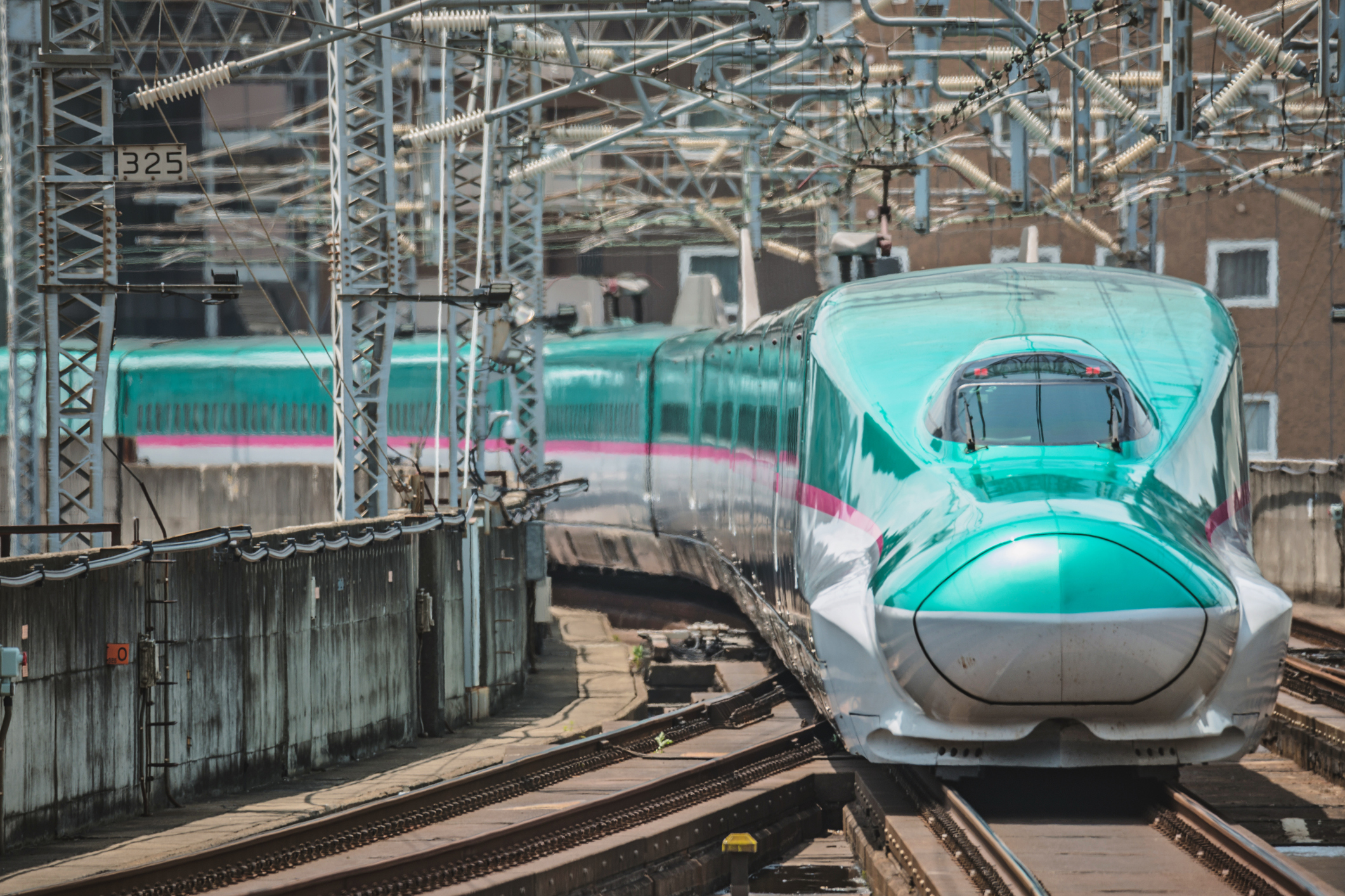 Shinksansen Shinkansen round trip | Insiderpuj.com