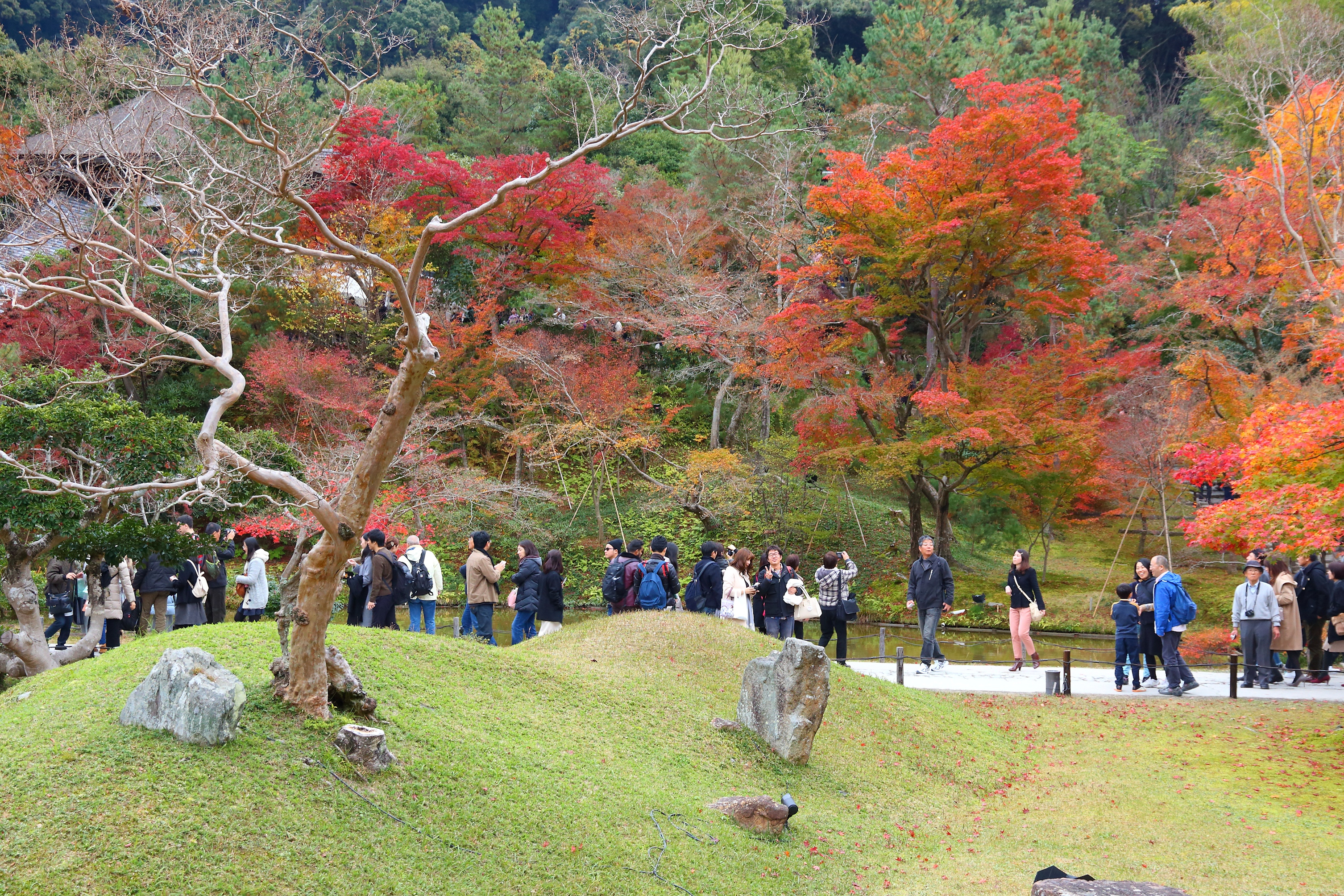 Kōdai-ji Zen Temple Autumn Illuminations, Late Oct–Mid Dec, 2026