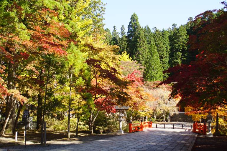 Autumn in Koyasan - Japan