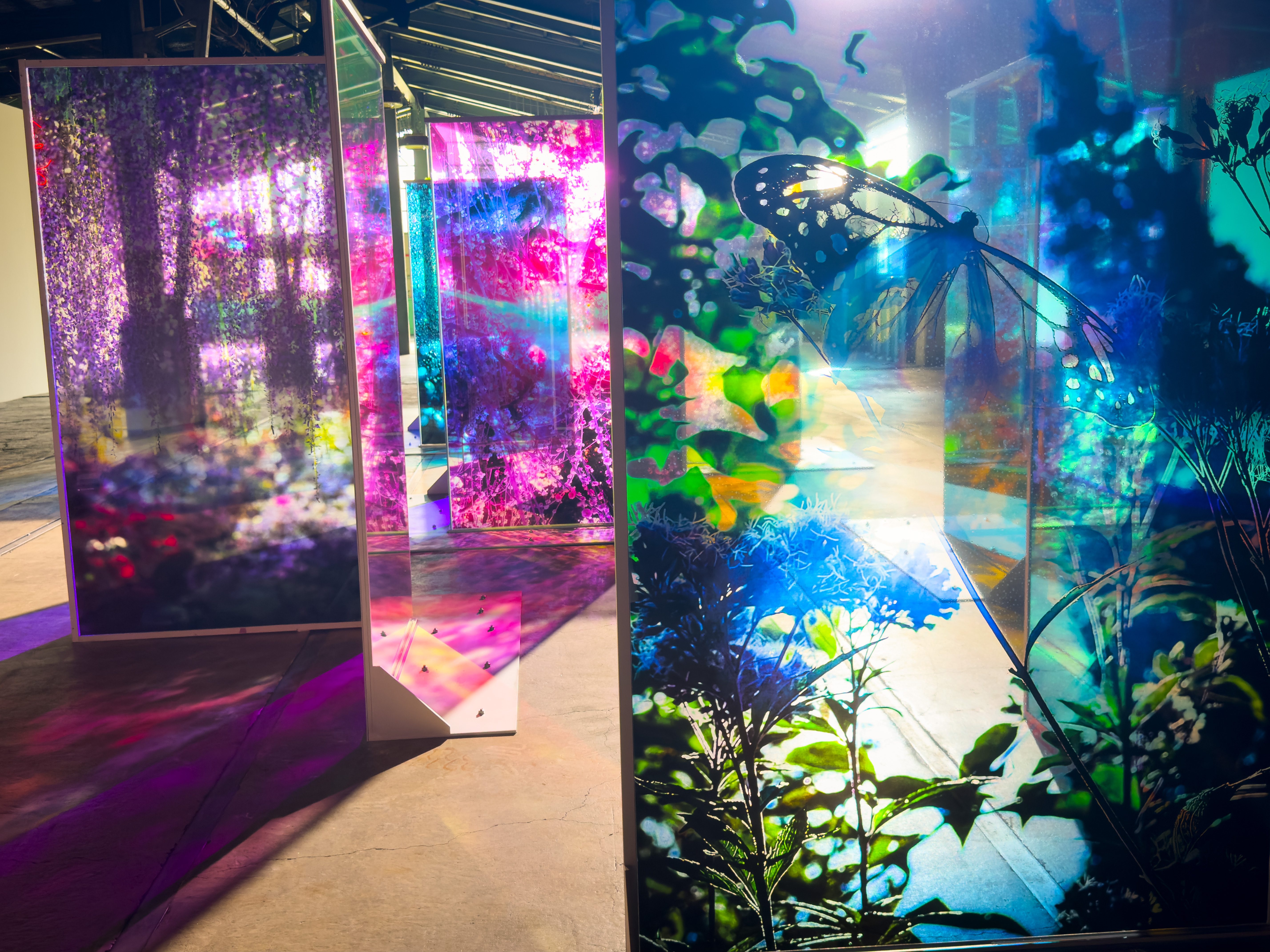 Lights of the Beyond, Shadows of This World by Mika Ninagawa, Jan