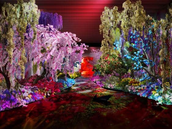 Lights of the Beyond, Shadows of This World by Mika Ninagawa, Jan