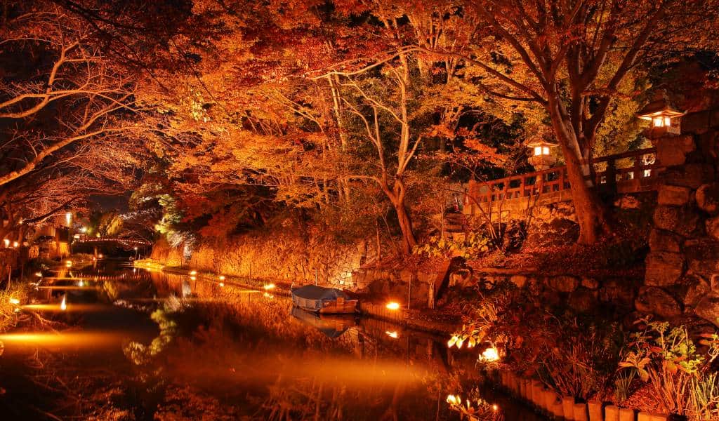 Team Picks: Our Favorite 15 Places in Japan