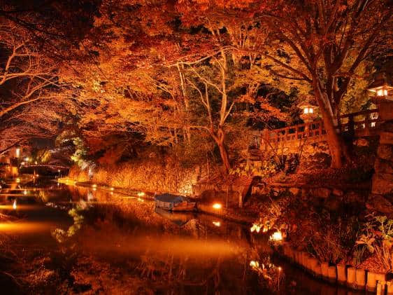 Team Picks: Our Favorite 15 Places in Japan
