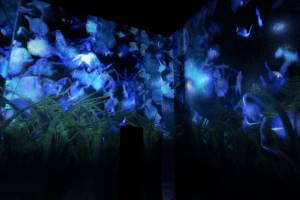 Untitled installation at teamLab Kyoto