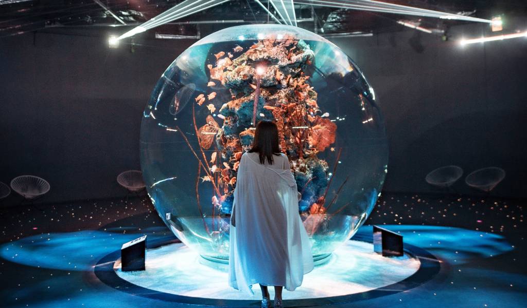 Mika Ninagawa: Resonant Aquarium
