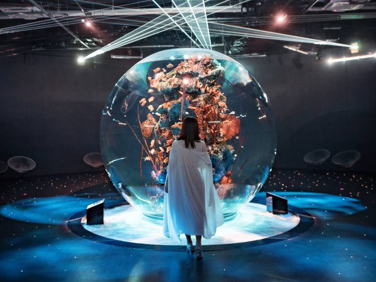 Mika Ninagawa Resonant Aquarium