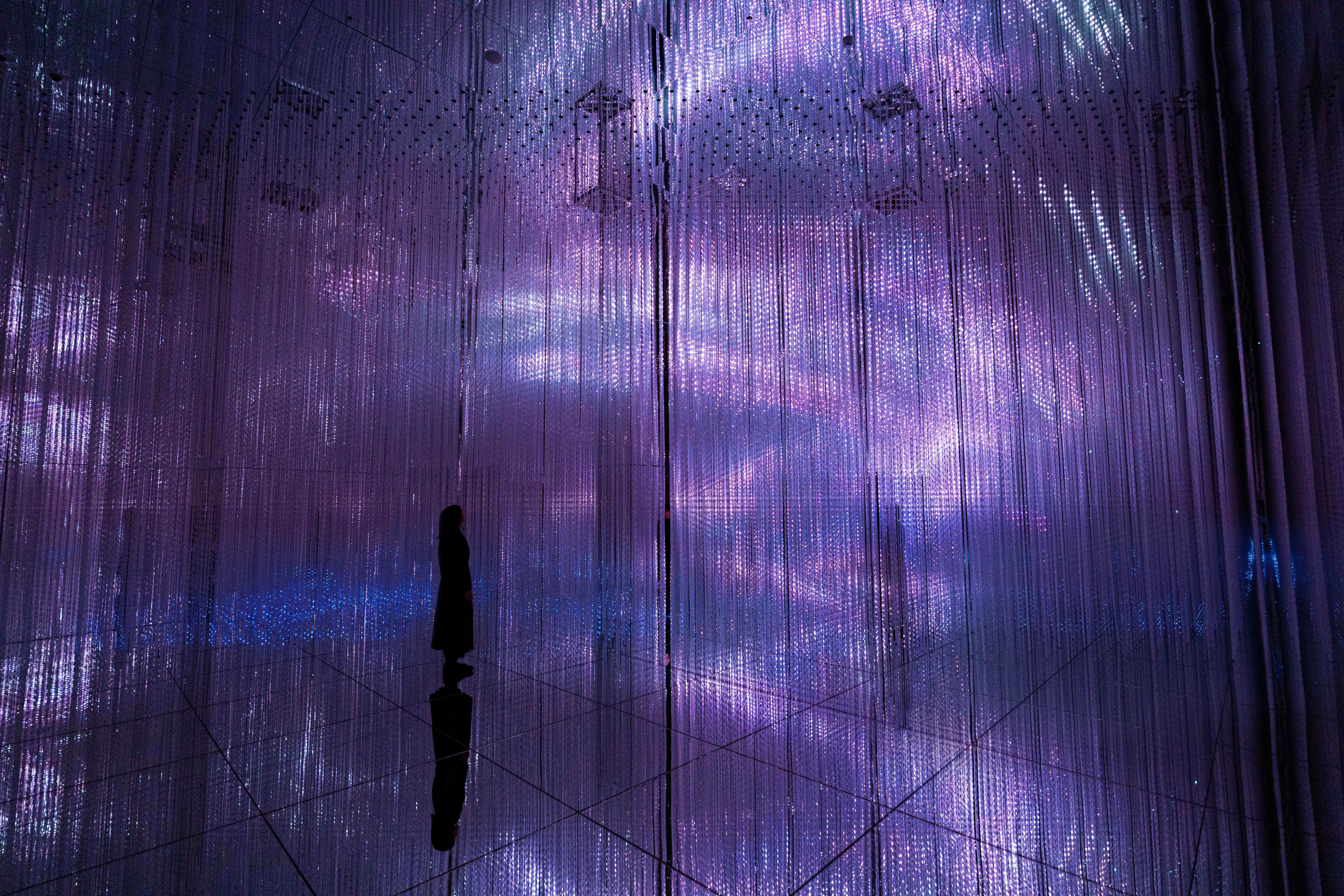 teamLab Biovortex Kyoto: Everything You Need To Know | Japan Cheapo
