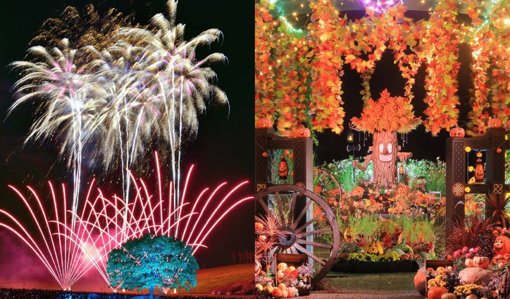 Nagaoka Halloween Fantasy Fireworks